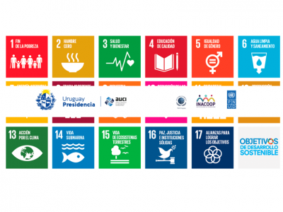 Relevamiento Nacional ODS. Contribución de Uruguay a la Agenda 2030